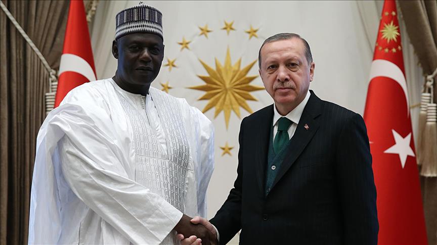 Erdogan receives newly appointed ambassadors to Turkey