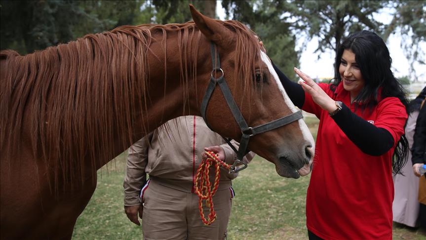 В Турции открылись курсы коневодов для женщин 