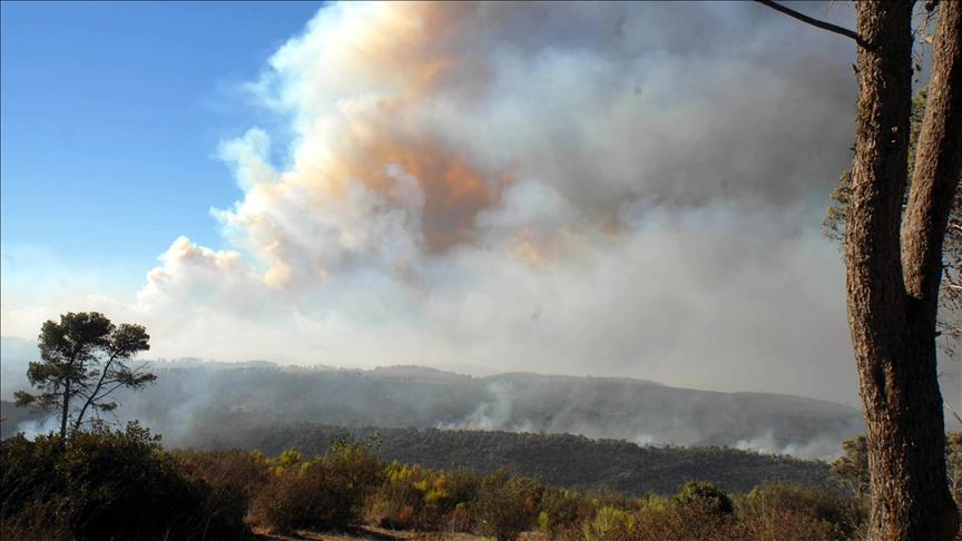 Chile anuncia alertas tempranas debido a un duro verano