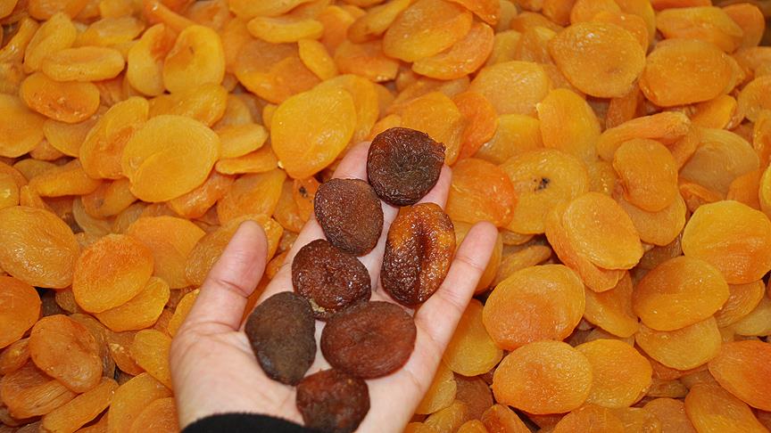 'Kayısıda kükürt oranlarına ilişkin çözüm bulacağız'