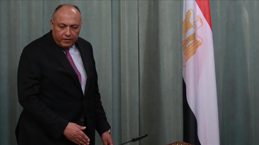 Egypt FM, Saudi crown prince discuss Lebanon 