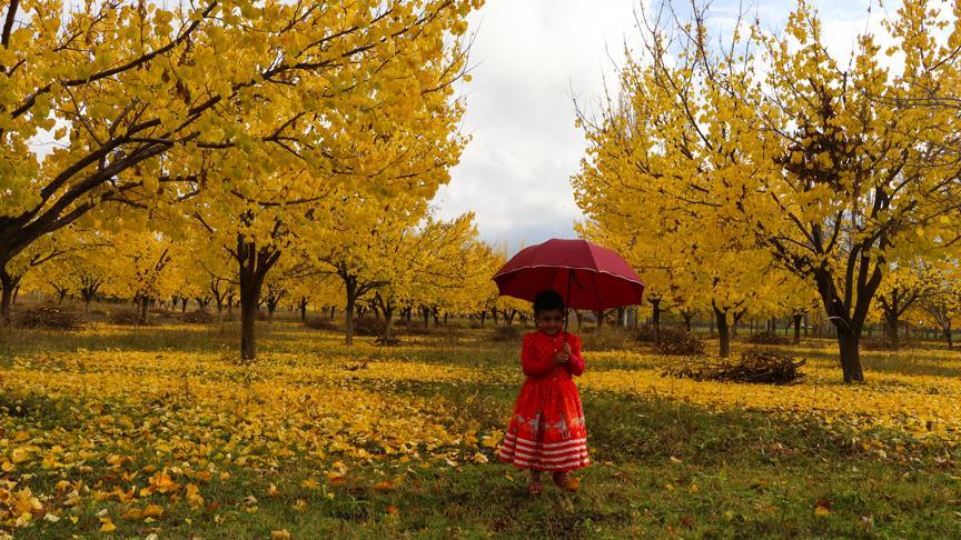 kayisi bahceleri dogal studyo oldu
