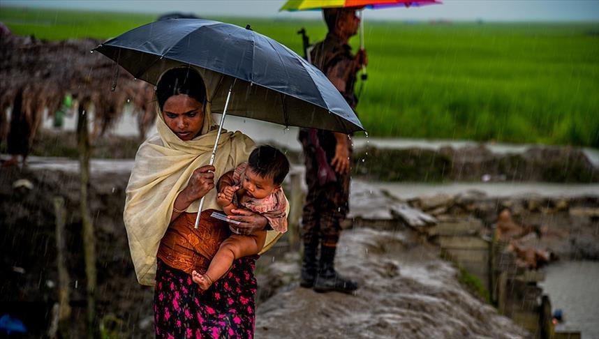 Asian, European diplomats urge safe return for Rohingya