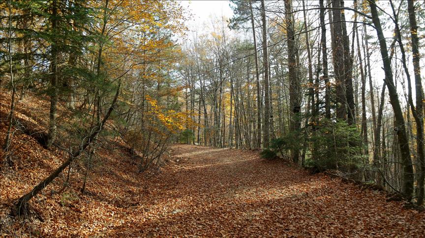 Turquie : Les monts 'Kaz Daglari', ornés de couleurs d'automne
