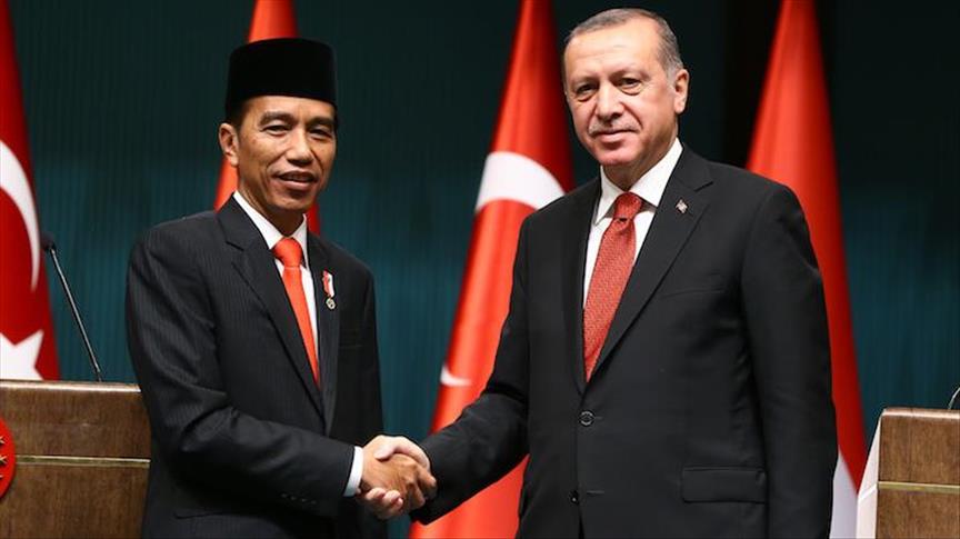 Indonesia dan Turki sukses lewati fase transisi demokratisasi 