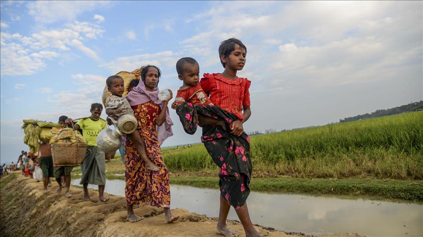 Rohingya facing 'apartheid' regime: Rights body