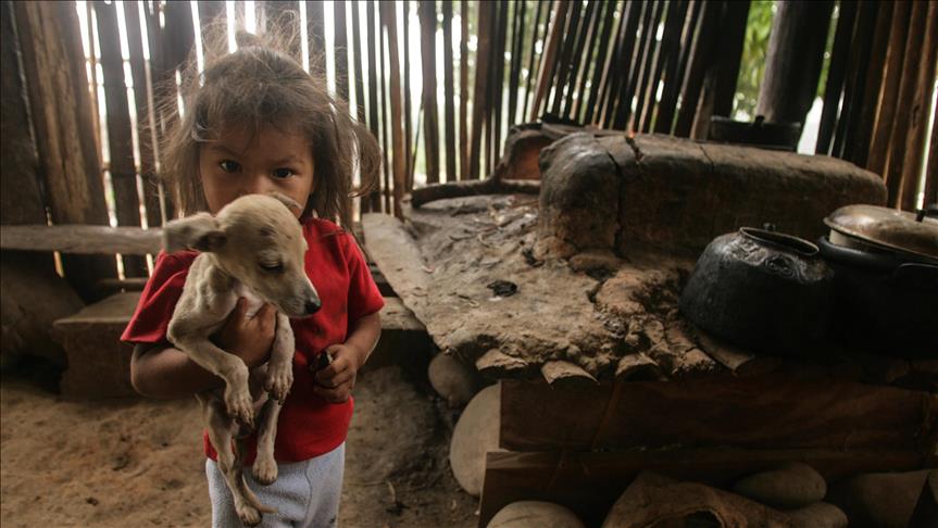 La Unicef pidió aumentar esfuerzos para disminuir el maltrato infantil