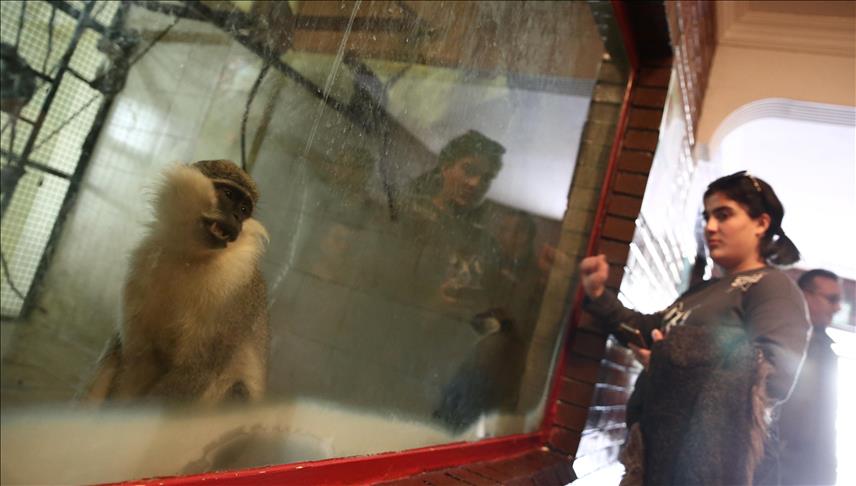 Turquie/Gaziantep: Le deuxième plus grand Parc Zoologique d'Europe émerveille