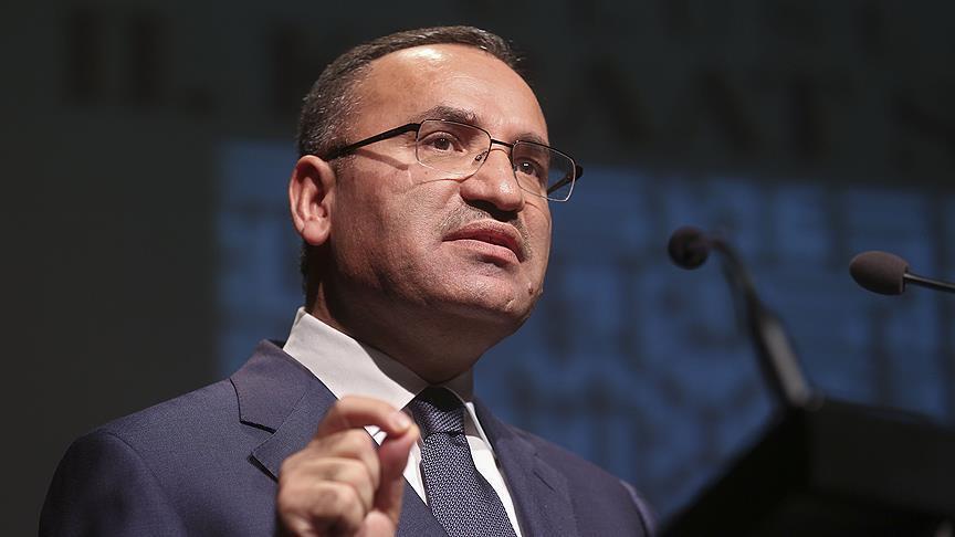Turkey ready to support Egypt against terror: Deputy PM