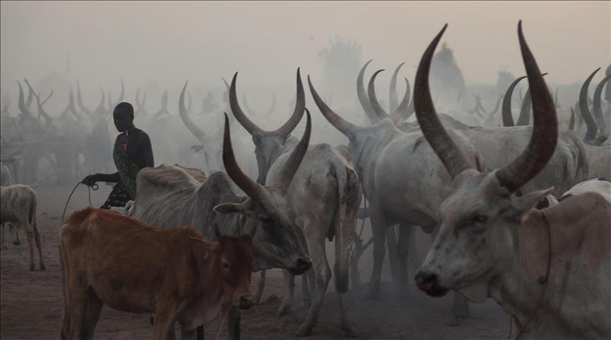 40 killed, dozens kidnapped in South Sudan cattle raid