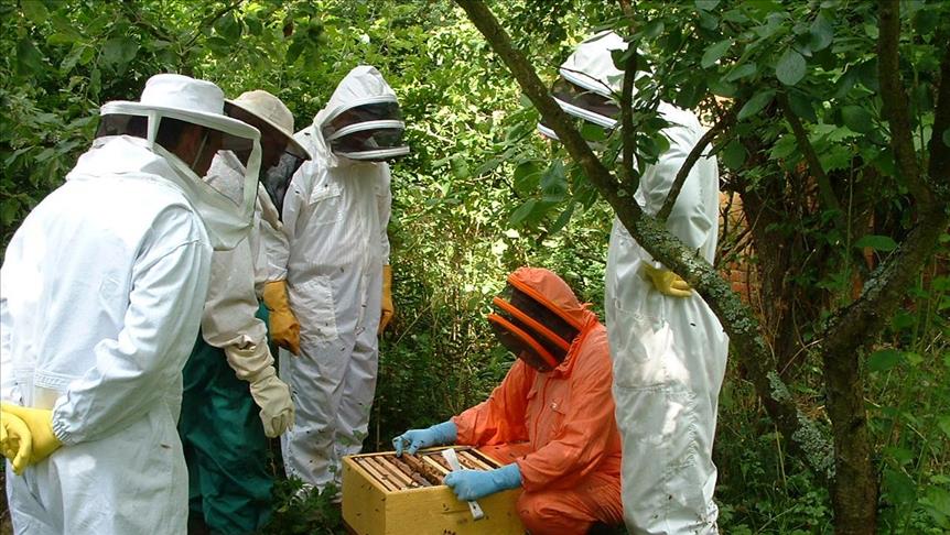 Turkish agency trains women beekeepers in Pakistan