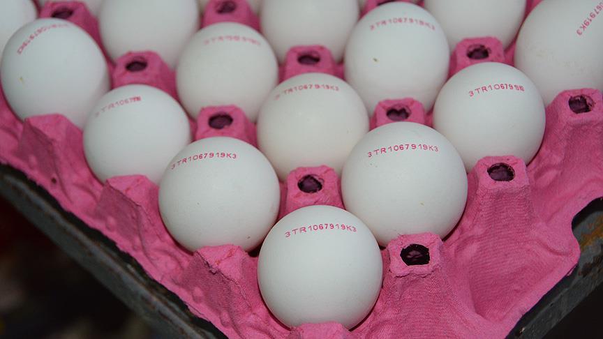 Yumurtalar yeni kodlarıyla piyasaya sunuluyor