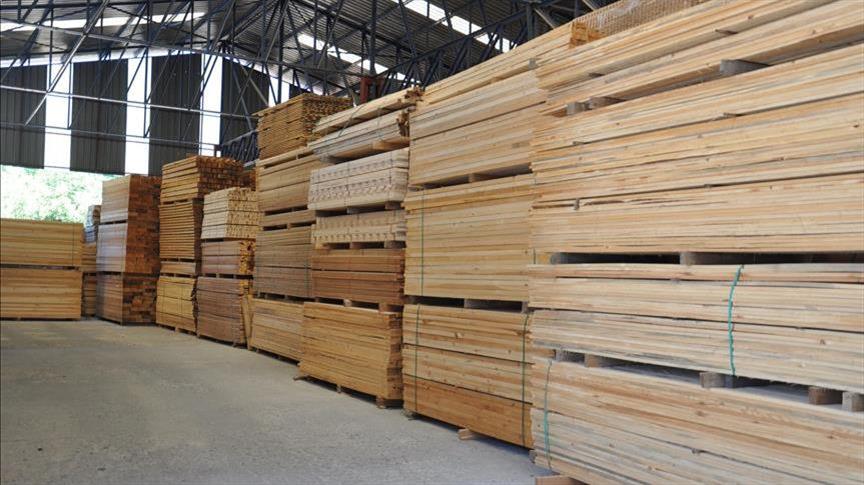 Setahun, Indonesia ekspor EUR 1 miliar kayu bersertifikat ke Uni Eropa