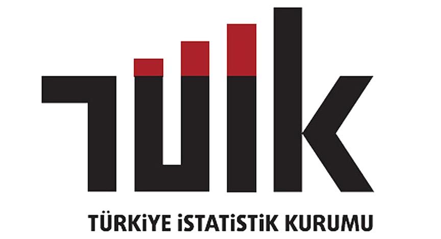 TÜİK'in 'Yenilik Araştırması' sonuçları açıklandı