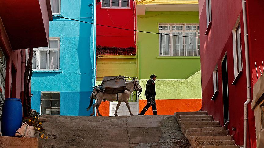 Dar sokakların çöpçüsü Nazlı ile 'Beyaz'ın dostluğu