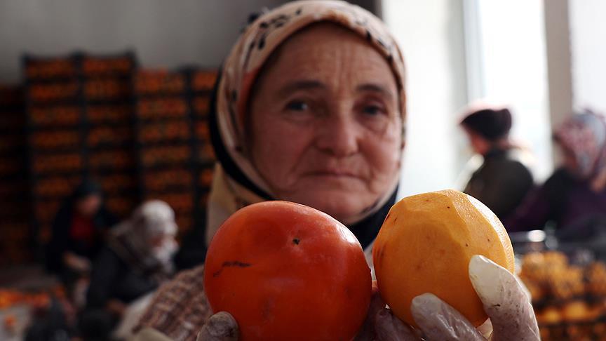 По успехот со чипсот од смокви, турска претприемачка го претставува јапонското јаболко