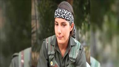 PKK'nın 'reklam yüzü' etkisiz hale getirildi