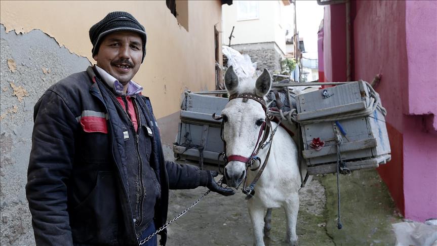 Mule and man forge friendship while rounding up rubbish