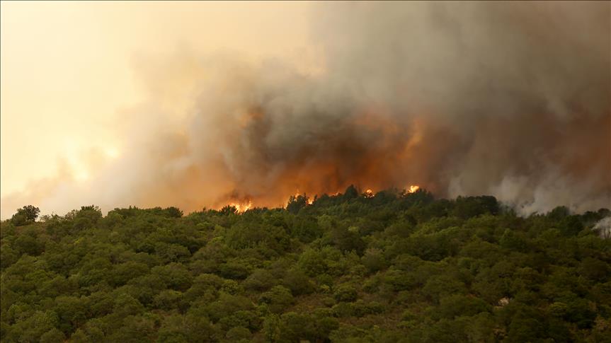 Incendio forestal en California deja un muerto y miles de evacuados
