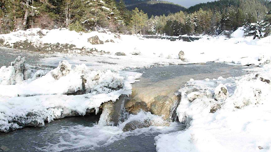 'Meşhur Tosya Pirinci'nin lezzeti Ilgaz'ın karından geliyor