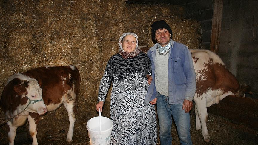 TİKA’nın Kosova'daki Tarımsal Kalkınma Programı meyvelerini veriyor
