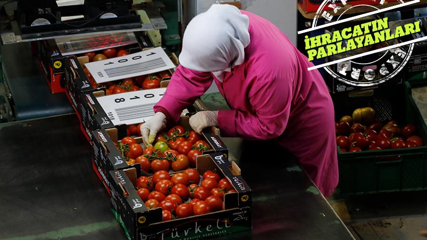 Sera domatesinde dünyanın en büyüğü olmayı hedefliyor
