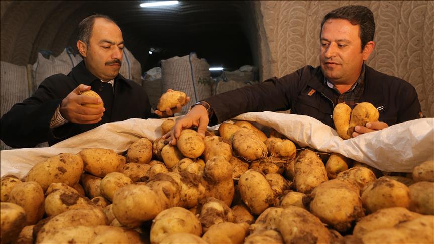 En Turquie, les pommes de terre sont stockées dans la région de la Cappadoce