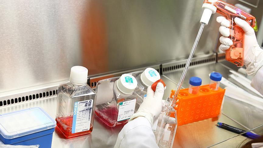 Un médicament pour le cancer peut traiter la maladie de Huntington