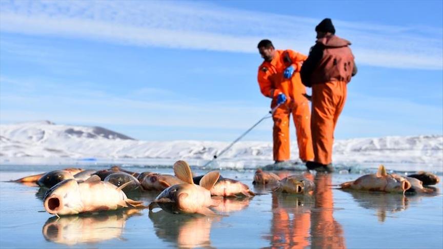 Siasat nelayan Turki berburu ikan di danau es