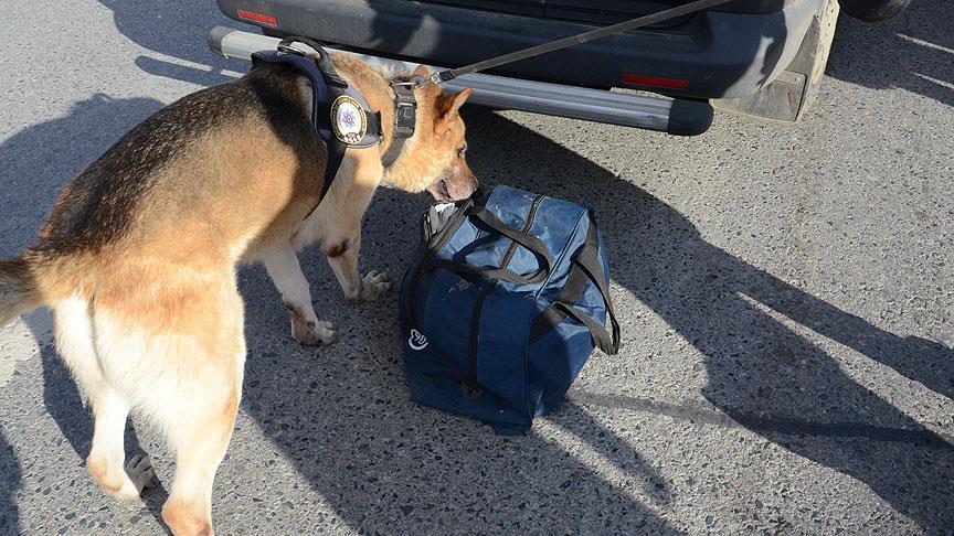 Turkey: Over 10 arrested in anti-narcotics operations