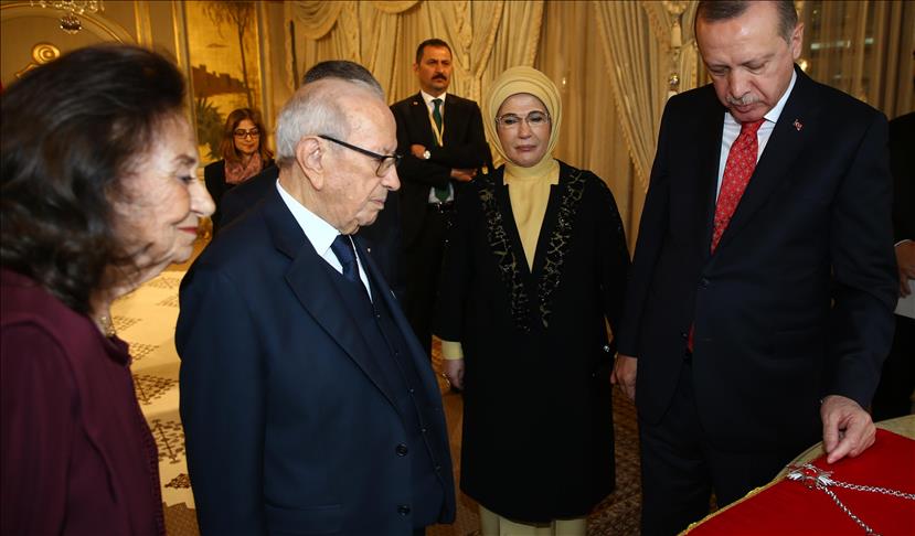 Эрдоган награжден госнаградой Туниса