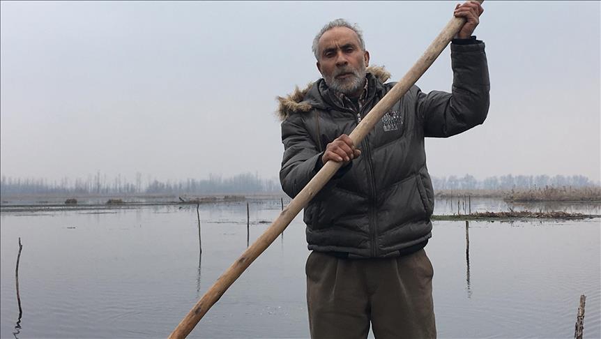 Kashmir's wetlands, migratory birds face uncertainty