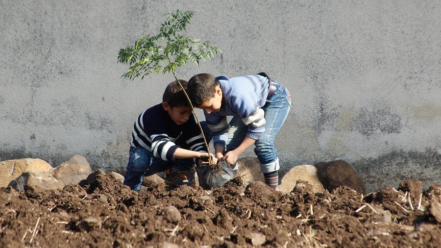 Humus'ta çocuklar 'umut dikiyor'