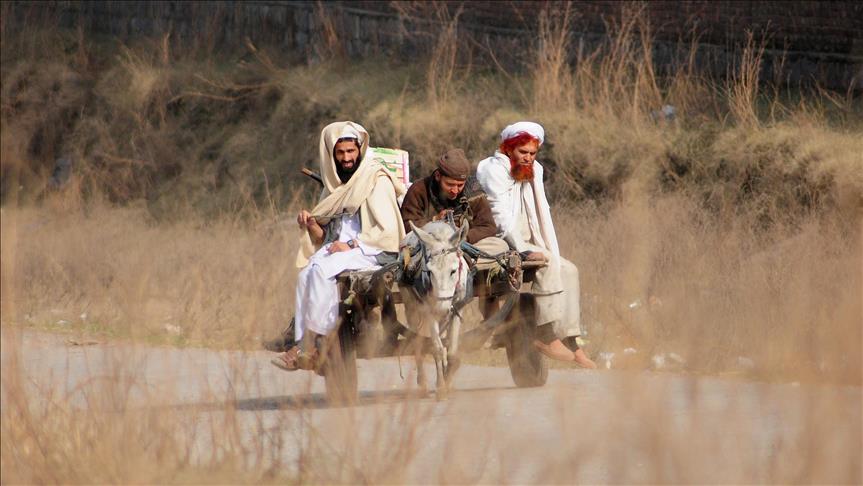 Afghan refugees in Pakistan reluctant to return home