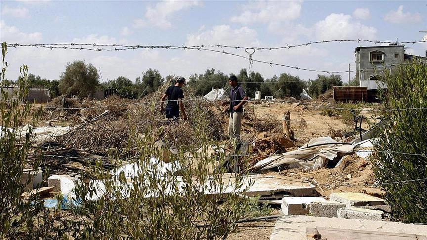 Pemukim Yahudi tebang pohon almond dan zaitun milik warga Palestina