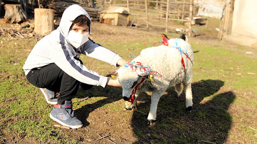 Lösemili küçük Arda'nın 'kuzu' hayali gerçekleşti