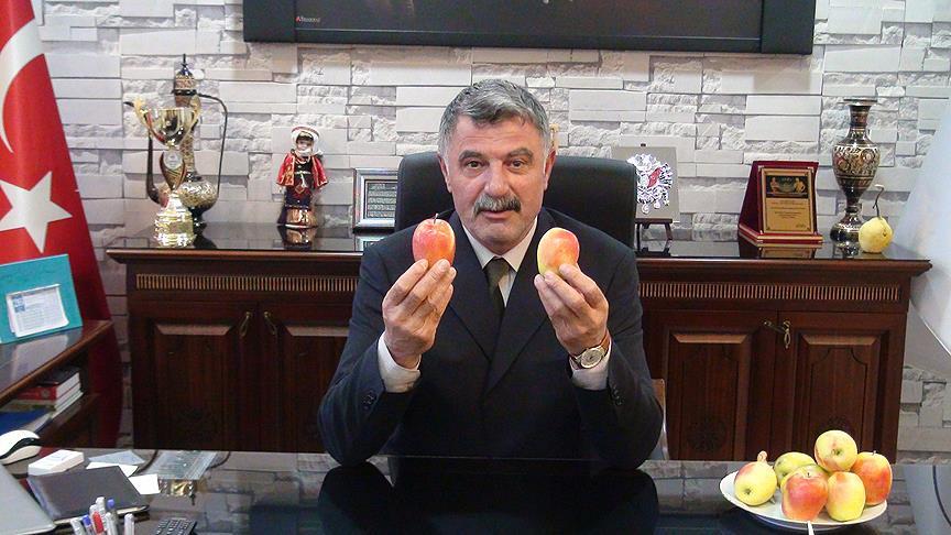 'Kağızman uzun elması' tescillendi
