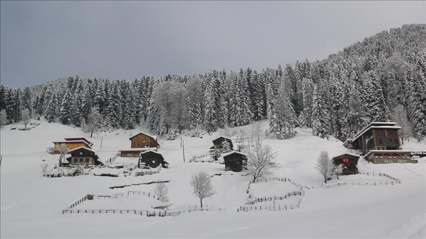 Natural wonders of Turkey's Rize attracts visitors