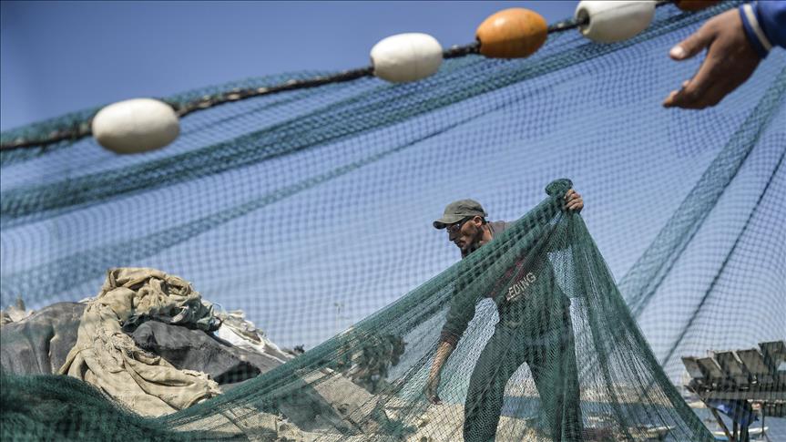 Parlamento Europeo votó para prohibir las redes de pesca eléctricas
