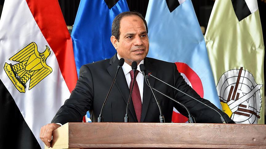 Egypt's Sisi to seek second term as president