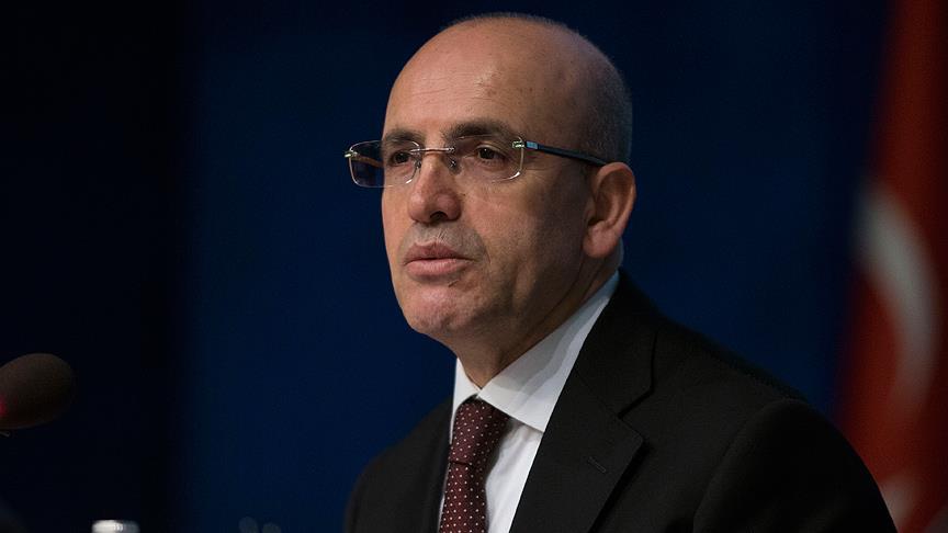 Başbakan Yardımcısı Şimşek: Zeytin Dalı Harekatı'nın ekonomiye etkisi son derece sınırlı