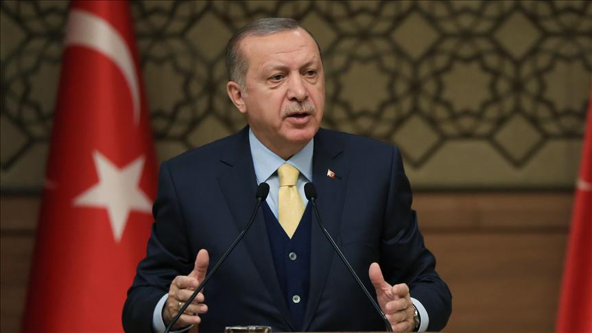 اردوغان: عملیات شاخه زیتون با قاطعیت ادامه خواهد یافت