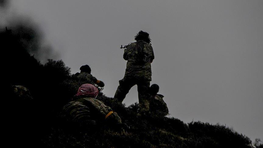 الأركان التركية: تحييد 260 إرهابيا في إطار عملية "غصن الزيتون"