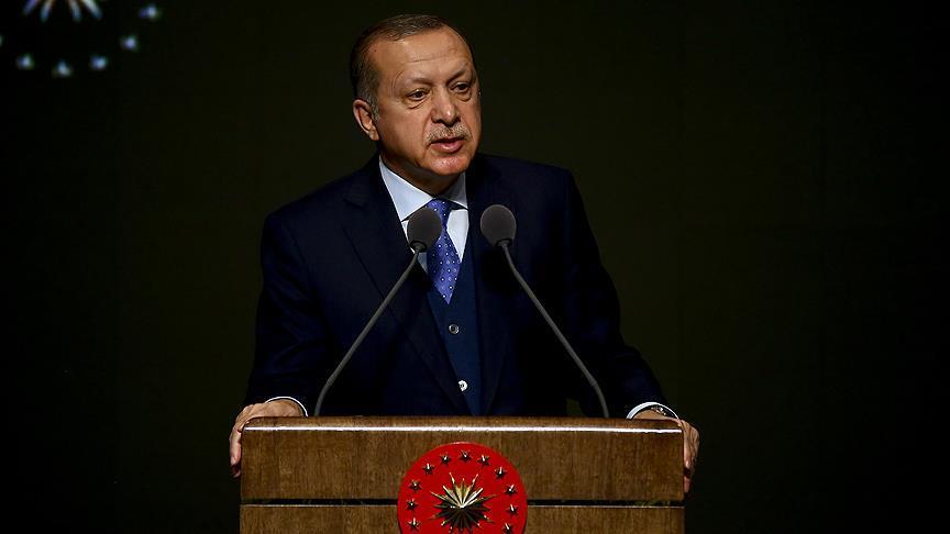 Erdogan: Turkey 'not occupying' Syria's Afrin