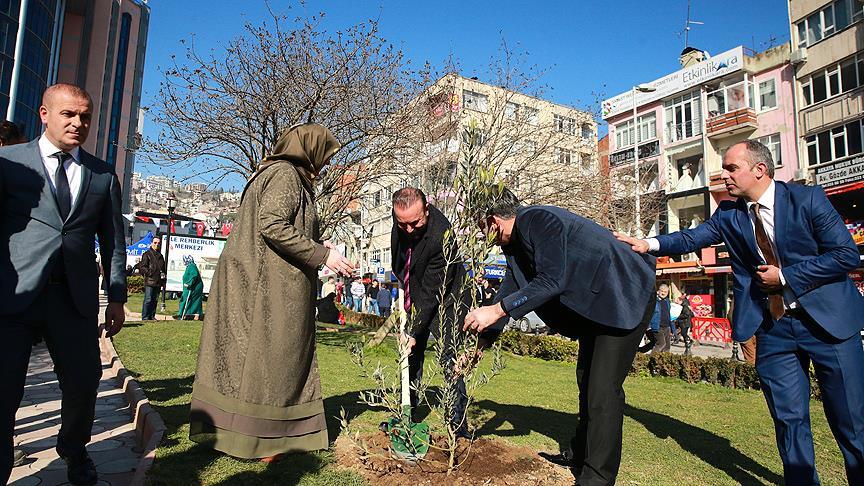 Mehmetçiğe zeytin fidanlı destek