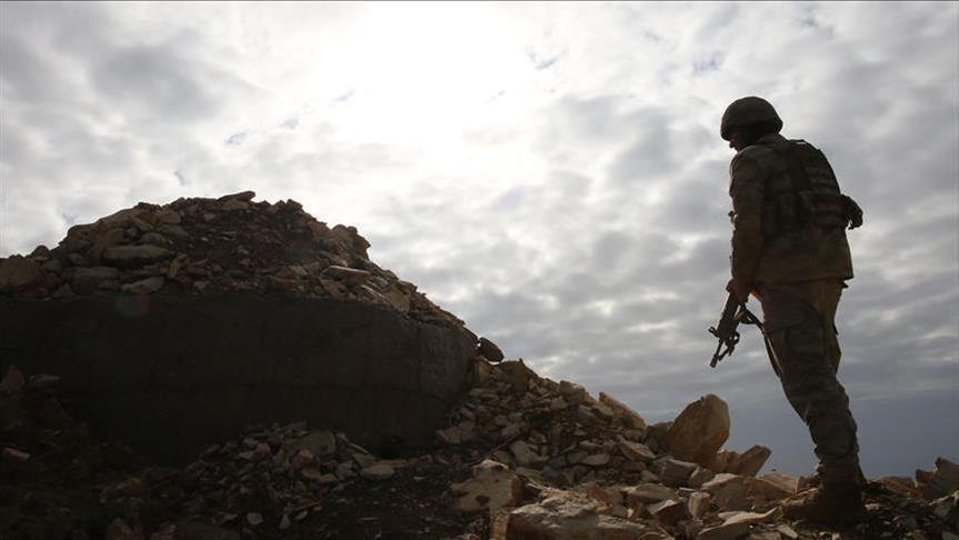 Rameau d’olivier : Un village stratégique dans l'ouest d'Afrin libéré  