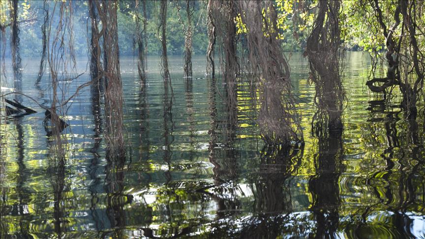 El Fondo Mundial para la Naturaleza (WWF) lanza un glosario ambiental