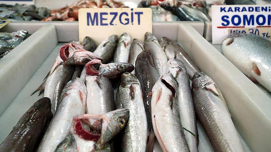 'Mezgit' tezgahları şenlendirdi