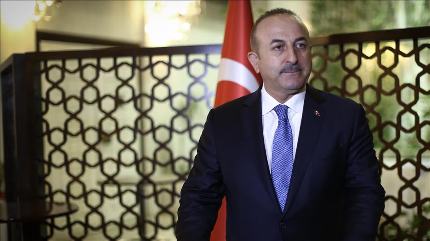 Turkish FM criticizes world powers' stance on Afrin op.