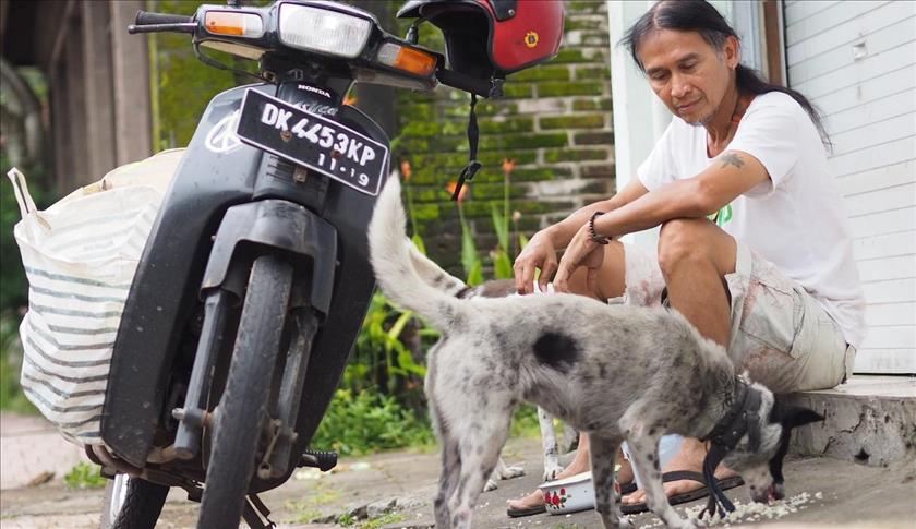 Para pahlawan jalanan yang melindungi anjing-anjing liar Bali